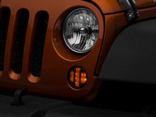 Load image into Gallery viewer, Photo - Close Up
