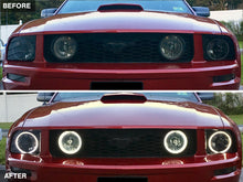Load image into Gallery viewer, Photo - Close Up